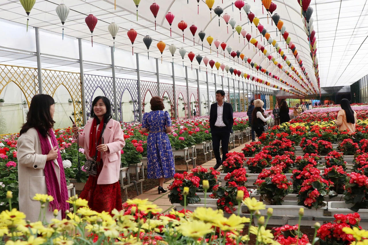 Lâm Đồng yêu cầu các địa phương dám làm, dám chịu trách nhiệm