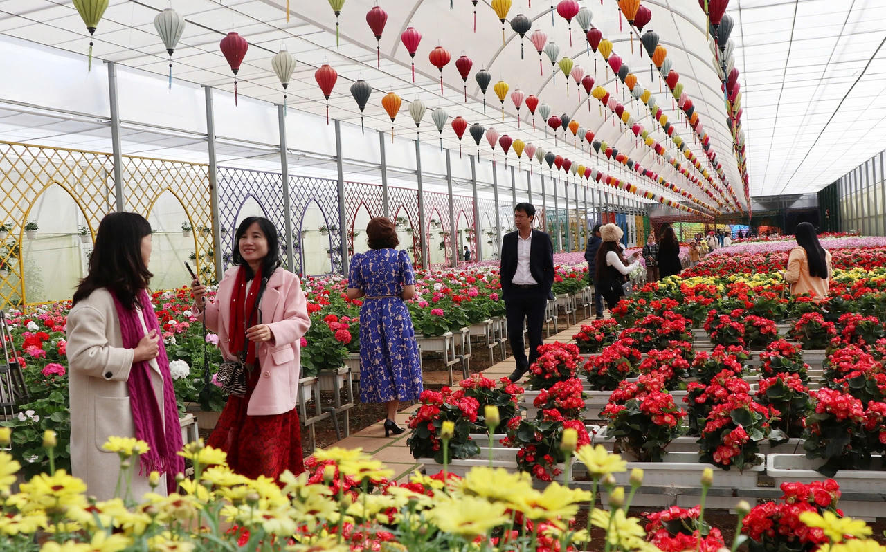 4 giải pháp để Lâm Đồng phát triển du lịch chất lượng cao