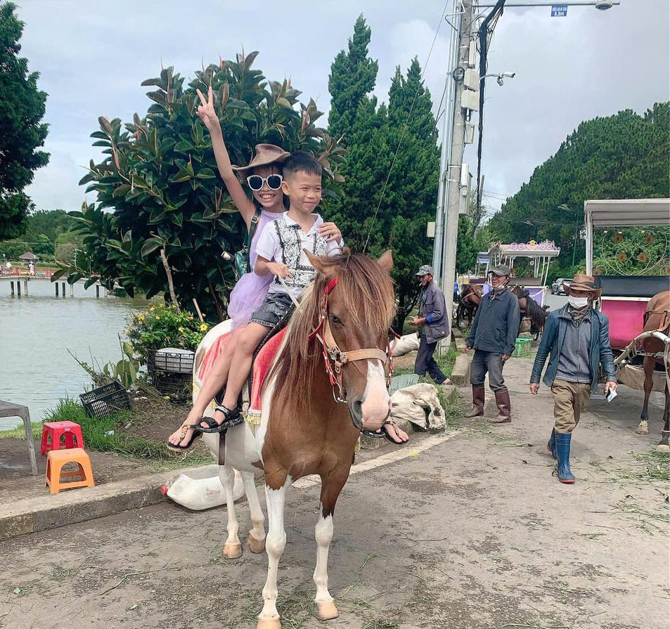 Đà Lạt dừng dịch vụ vận chuyển hành khách bằng xe ngựa quanh hồ Xuân Hương