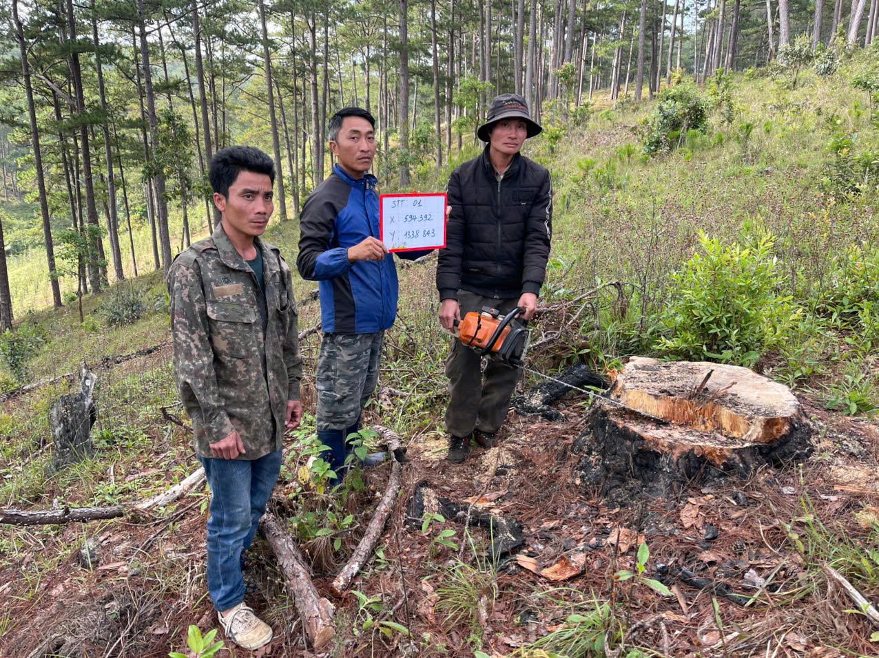 Công an Lâm Đồng tạm giữ 3 đối tượng khai thác lâm sản trái phép