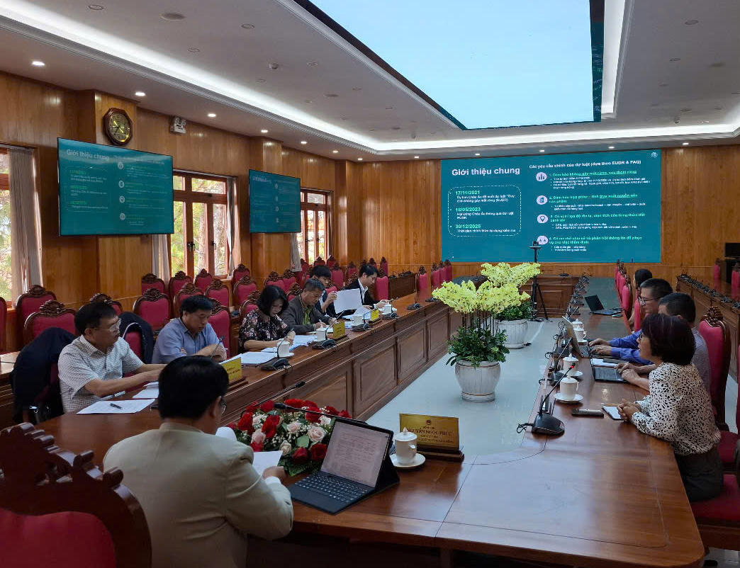 Mở rộng các giải pháp chống mất rừng và suy thoái rừng trên toàn tỉnh Lâm Đồng