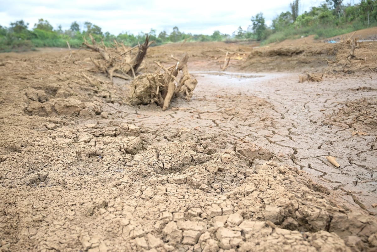 Đắk Nông 'quay quắt' trong nắng hạn 