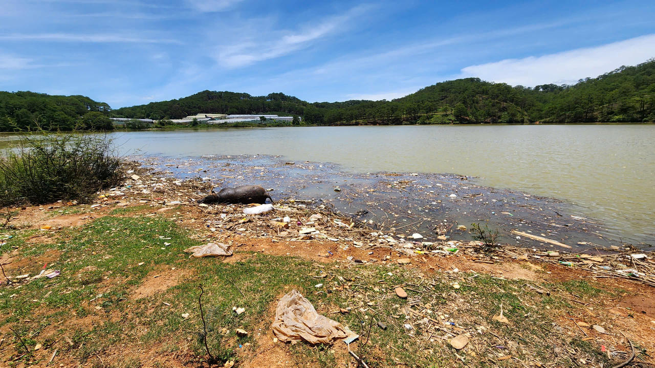 Lâm Đồng yêu cầu xử lý ngay tình trạng rác thải trôi về hồ Đan Kia