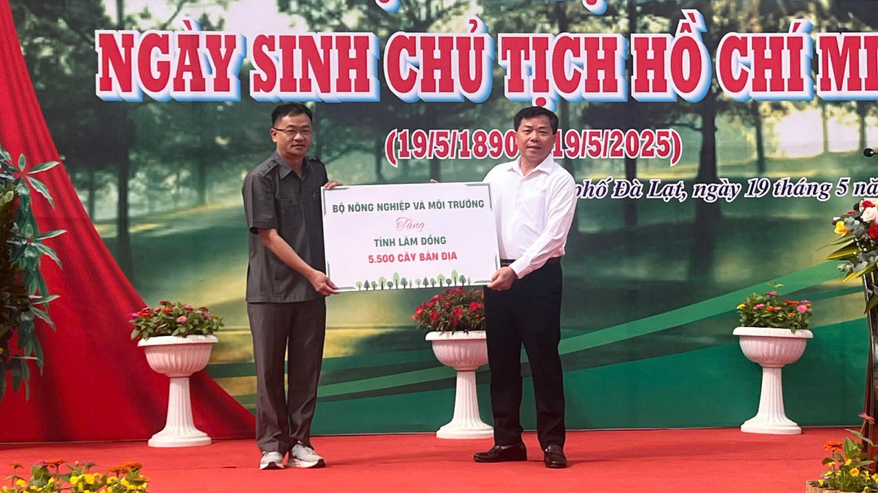 Lâm Đồng nằm trong top đầu thực hiện đề án trồng 1 tỷ cây xanh