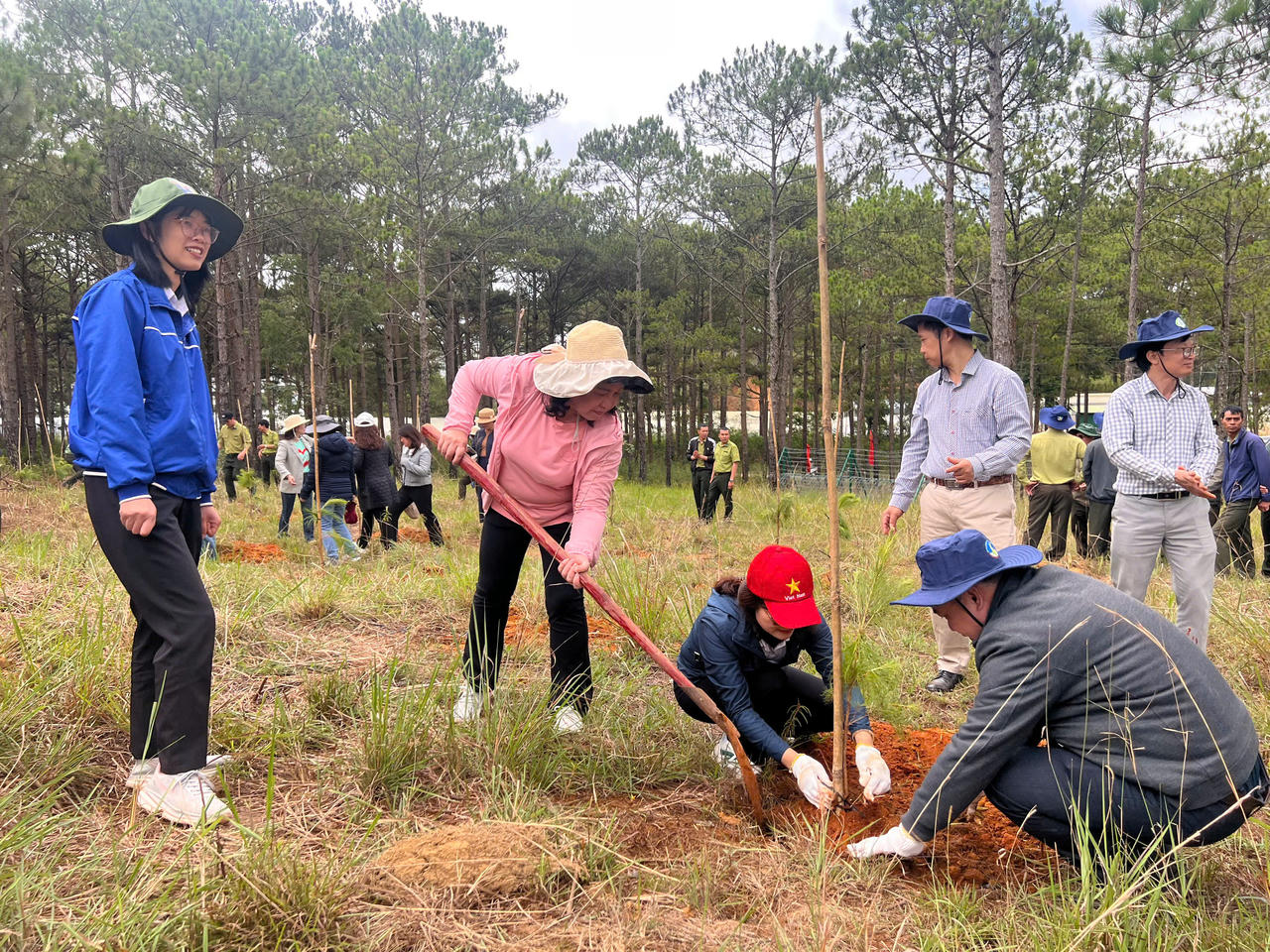 Lâm Đồng nằm trong top đầu thực hiện đề án trồng 1 tỷ cây xanh