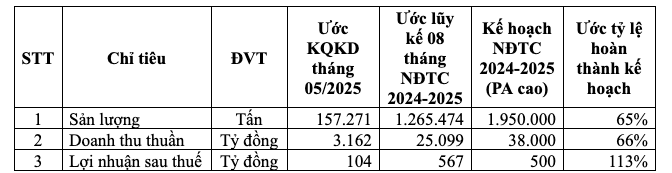 Hoa Sen group vượt 13% kế hoạch lợi nhuận niên độ tài chính 2024-2025