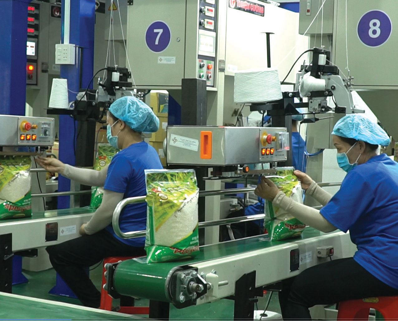 Gạo Hapro Đồng Tháp: Chất lượng thay lời muốn nói