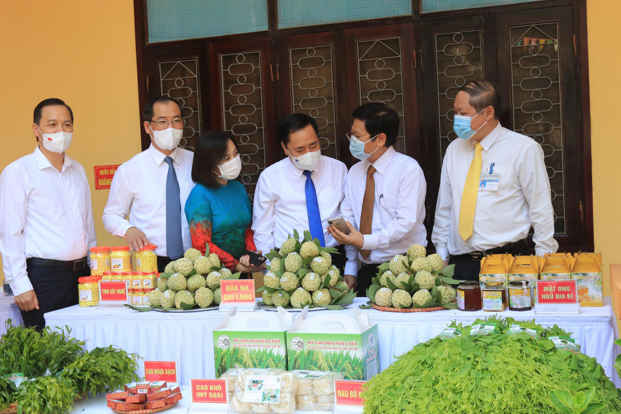 Lạng Sơn nỗ lực tiêu thụ vựa na hơn 1.200 tỷ đồng 