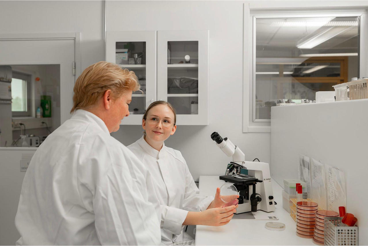 Thương vụ triệu USD của Nutifood ở xứ sở sâm Ngọc Linh