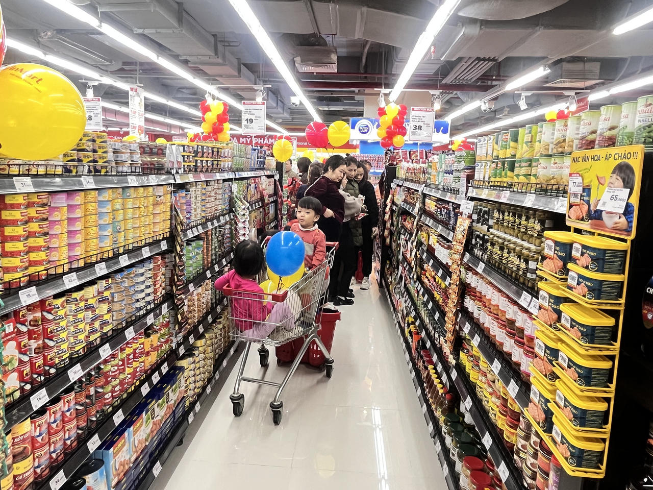 Tập đoàn Masan khai trương siêu thị WinMart đầu tiên tại Đông Anh (Hà Nội)