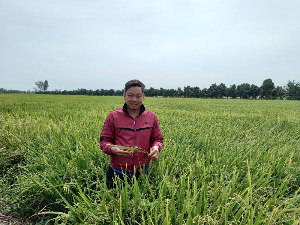 Nông dân bội thu nhờ tin vào NPK Phú Mỹ