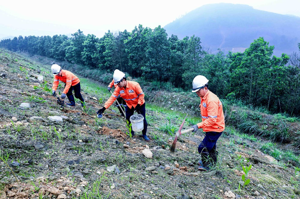 Masan High-Tech Materials đặt mục tiêu doanh thu năm 2024 đạt 15.000 - 15.800 tỷ đồng