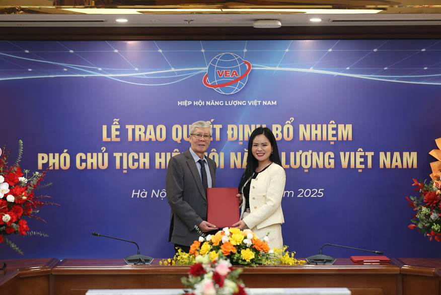 Phó Tổng giám đốc Tập đoàn T&T Group làm Phó Chủ tịch Hiệp hội Năng lượng Việt Nam