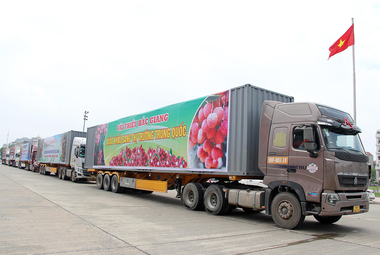 Xúc tiến tiêu thụ vải thiều và nông sản chủ lực Bắc Giang