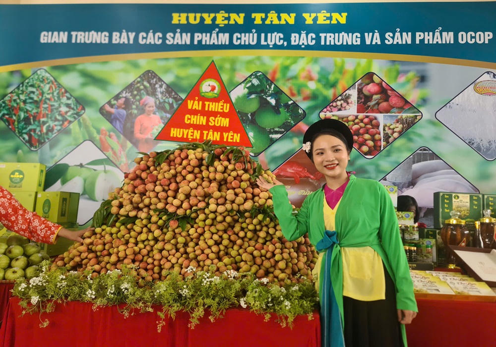 Xúc tiến tiêu thụ vải thiều và nông sản chủ lực Bắc Giang