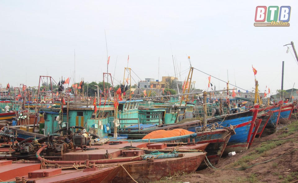 Quảng Ninh - Nam Định cấp tập ứng phó bão số 2