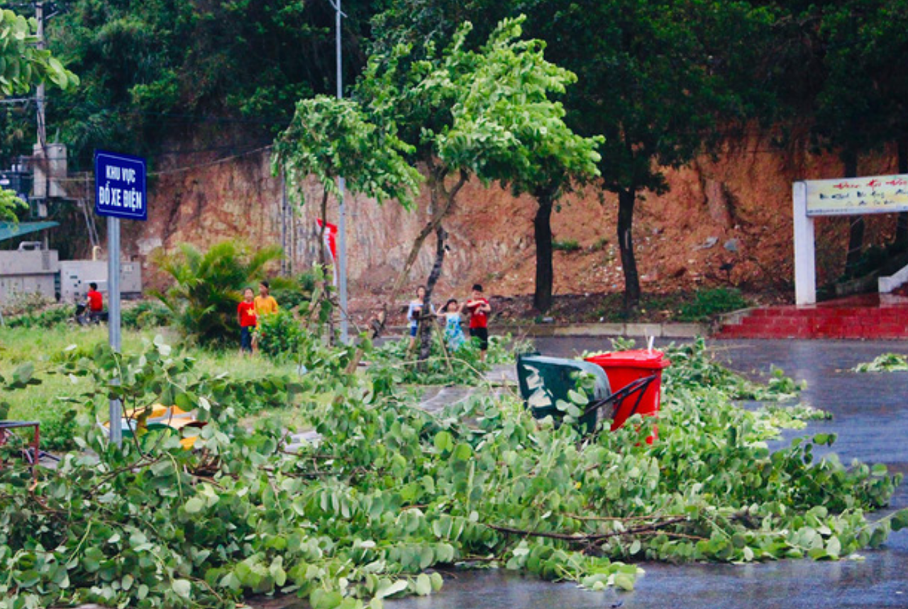Quảng Ninh - Nam Định cấp tập ứng phó bão số 2