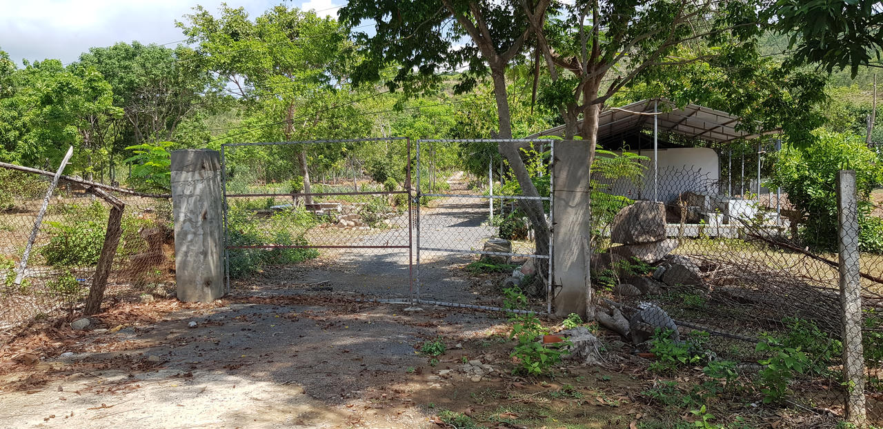 Cam Ranh (Khánh Hòa): Ông lão 83 tuổi bị côn đồ đánh dã man, công an đang tìm bắt thủ phạm