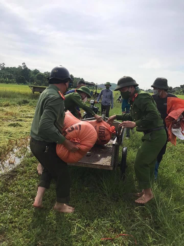 Bí thư huyện, Trưởng công an huyện xuống đồng gặt lúa giúp dân