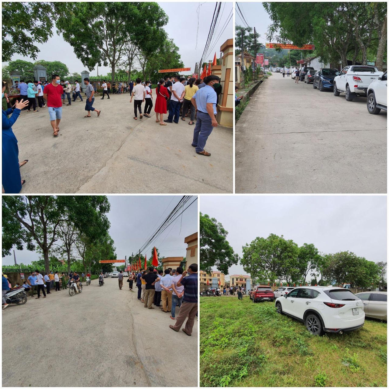 Nhà đầu tư ồ ạt bỏ cọc sau khi trúng đấu giá đất 