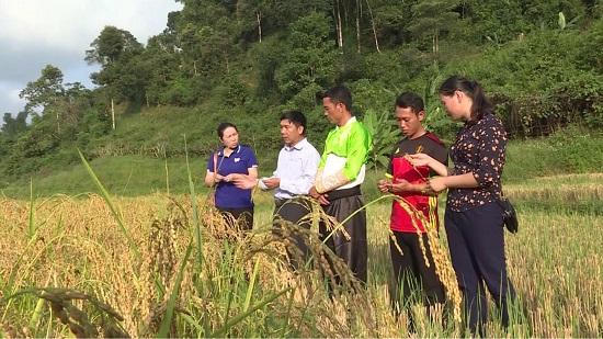 Nhiều điểm sáng trong công tác giảm nghèo của tỉnh Thanh Hoá