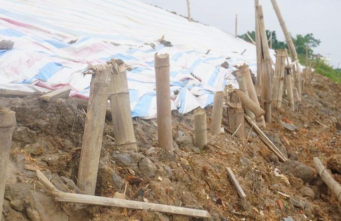 Sụt lún đê tả sông Mã đe dọa an toàn hơn 29.000 người dân Thanh Hóa