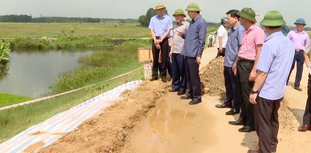 Sụt lún đê tả sông Mã đe dọa an toàn hơn 29.000 người dân Thanh Hóa