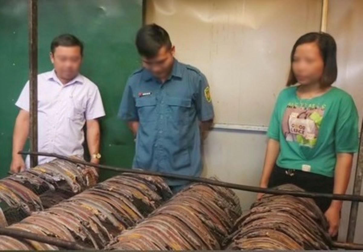 Thanh Hóa: Xử lý ngăn chặn hoạt động sử dụng kích điện đánh bắt giun đất