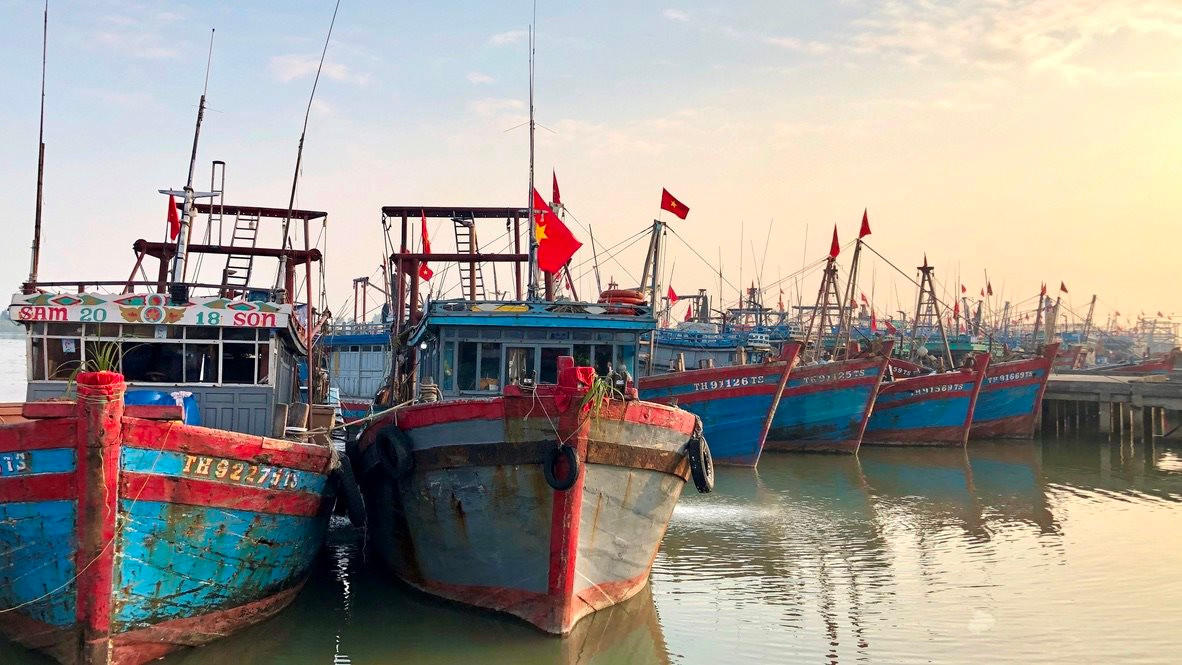 Thanh Hóa cùng cả nước chung tay gỡ 'thẻ vàng' IUU