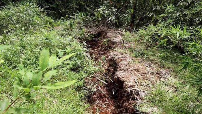 Nứt núi ở Thanh Hoá, di dời toàn bộ các hộ dân khu vực nguy hiểm