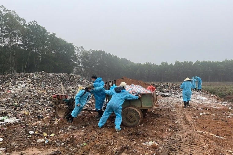 Thanh Hóa: Tiêu hủy đàn lợn hơn 600kg để ngăn chặn lây lan dịch lở mồm long móng