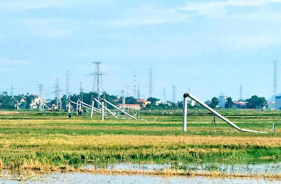 Hàng loạt cột điện ở Thanh Hóa gãy đổ ngổn ngang sau mưa giông