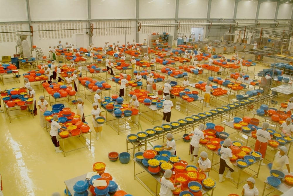 Câu chuyện cuộc đời của 'Vua xoài' Philippines