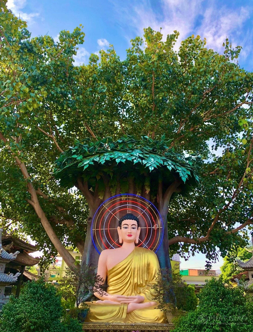 Thành kính hướng về kỷ niệm ngày Đức Phật thành đạo mùng 8 tháng 12 Âm lịch