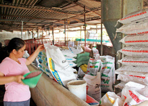 Hiệp hội Thức ăn chăn nuôi được làm việc với Tổng cục Hải quan