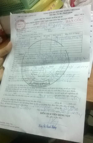 Big C bán thịt heo nghi nhiễm bệnh