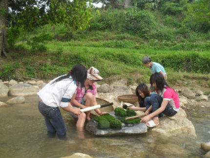 "Thung lũng tiên” và những bí ẩn về loài kỳ thảo trường thọ