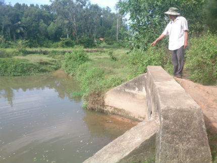 Gạo đen ngòm vì bám khói cao su?