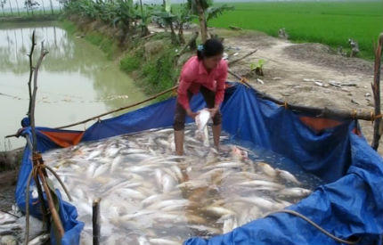 Phá hợp đồng, đừng… né trách nhiệm