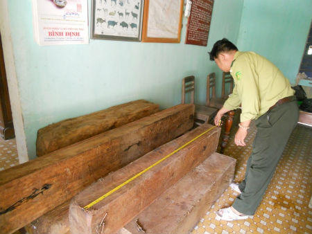 Bình Định: Rừng phòng hộ đầu nguồn hồ Núi Một "kêu cứu"