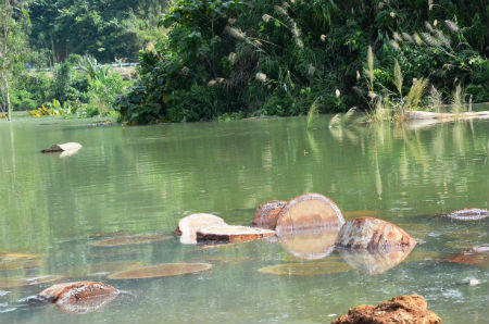 Thủy điện tích nước, gỗ nổi trắng lòng hồ!