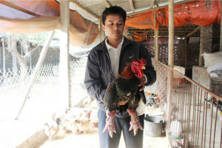 Bỏ tiền triệu săn gà Đông Tảo ăn tết