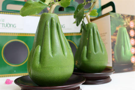 Chi tiền triệu săn quả “độc” chơi tết để tỏ lòng hiếu thuận?