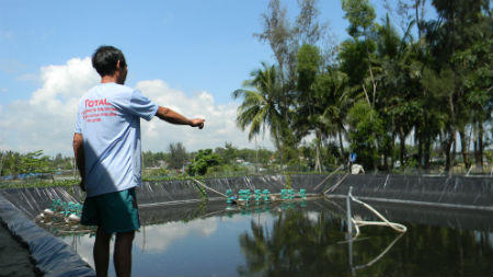 Quảng Nam: Hàng trăm hồ nuôi tôm bỏ hoang