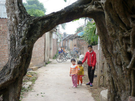 Ở quê nhớ làng