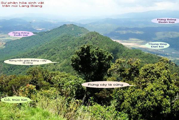 Lang Biang- Khu bảo tồn sinh quyển tuyệt vời của thế giới