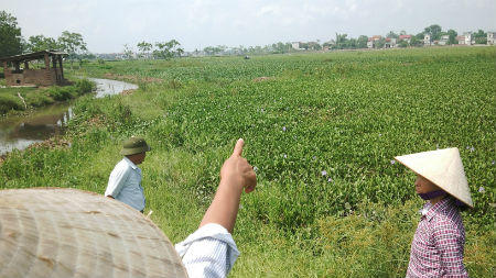 Dự án quốc lộ 32C Tại Phú Thọ: Sở chờ tỉnh, 118 hộ dân kêu cứu