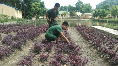 Lữ đoàn 86: Chung tay xây dựng “ngôi nhà thứ 2”