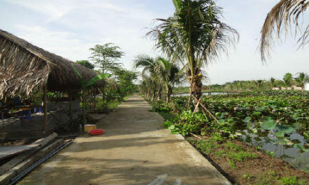 TP. Cần thơ: Xây dựng trái phép tràn lan bên trong dự án đang triển khai  
