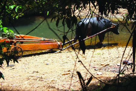 Theo dấu “lâm tặc” mục kích cuộc “xẻ thịt” rừng Thù Lù